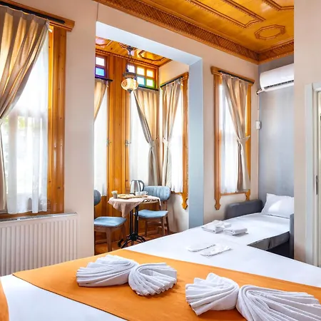 Hotel The Astra